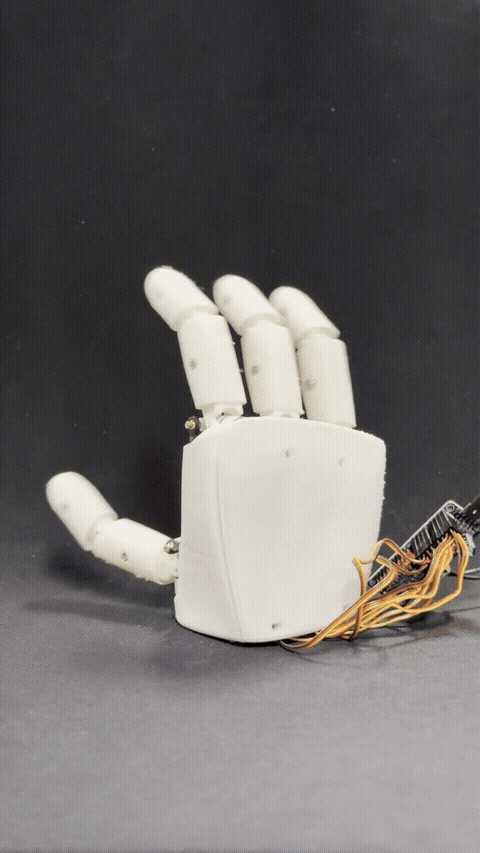 Middle finger gesture